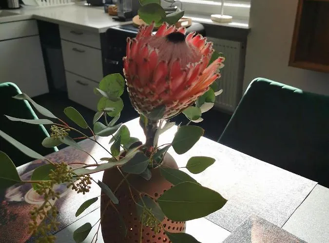 شقة Bahnhof Loft &